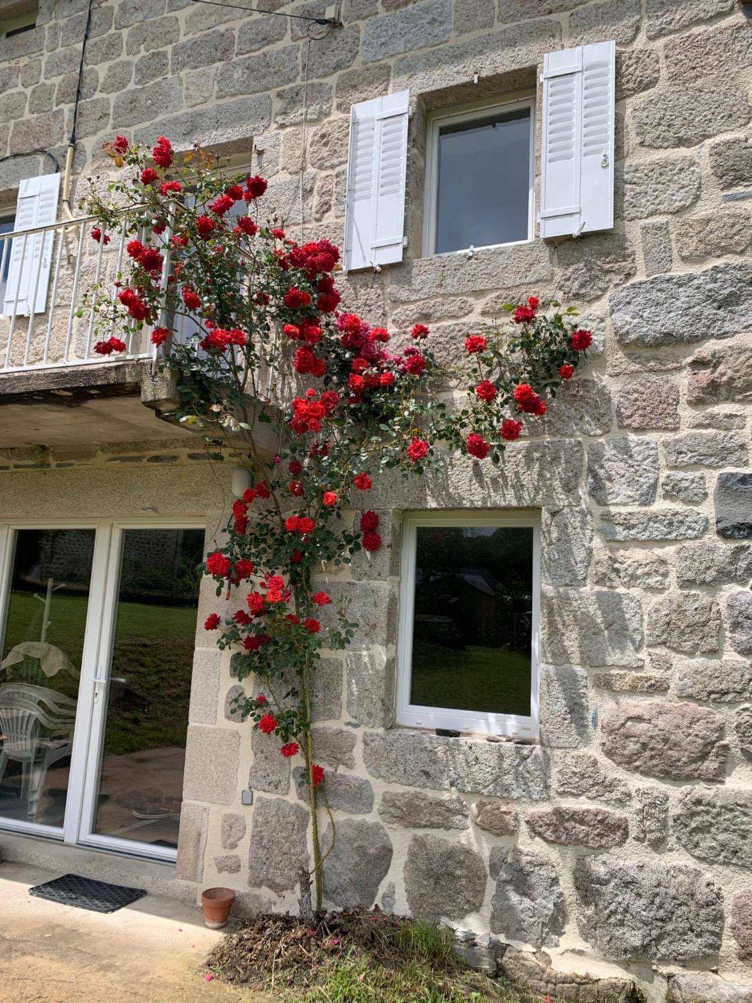 Willa Ferme Au Calme A 15Mn Du Chambon Sur Lignon Saint-Jeures Zewnętrze zdjęcie